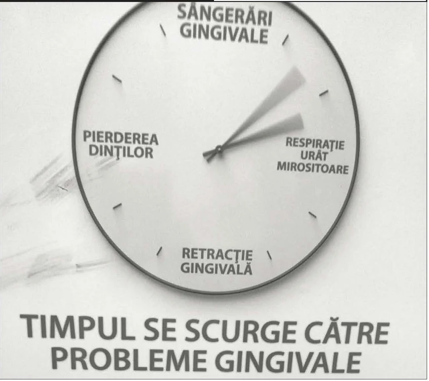 Poezie, berze, profesorul Brădățan jpeg