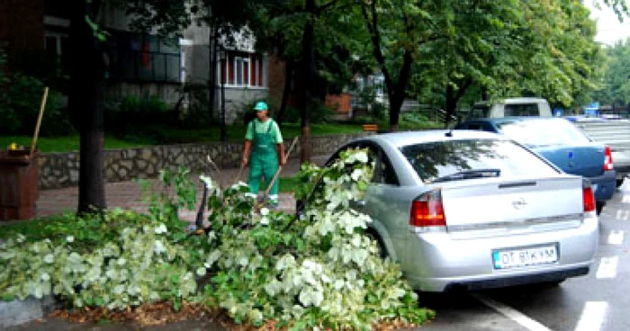 Slatina: Furtuna a rupt crengile copacilor