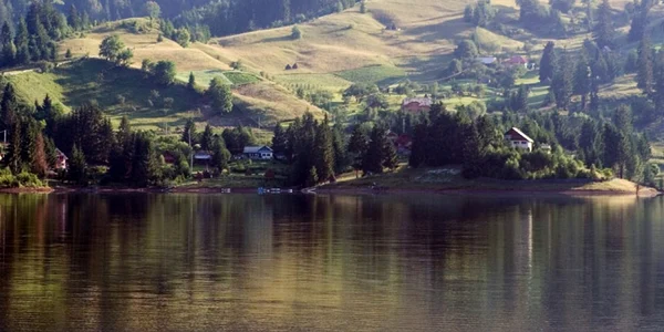 colibita