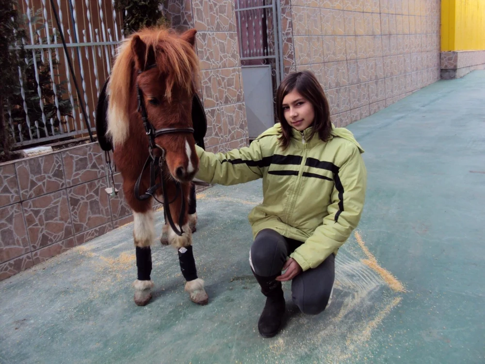 alina toma husi