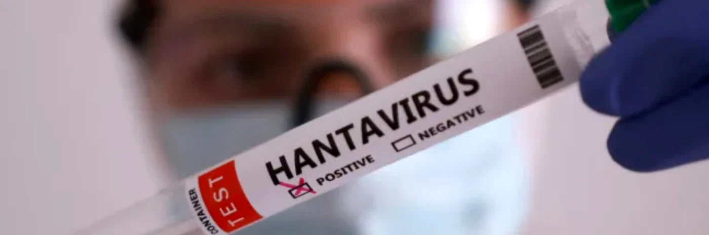 Autoritățile medicale spun că nu există un risc pentru Hantavirus în România. Foto: Metro