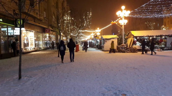 Prima ninsoare din 2019. Timişoara a îmbrăcat din nou haine albe FOTO Ş.Both