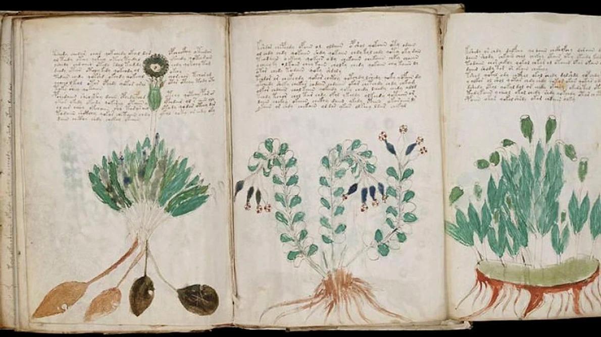 Noi pași spre descifrarea celui mai misterios manuscris din lume jpeg