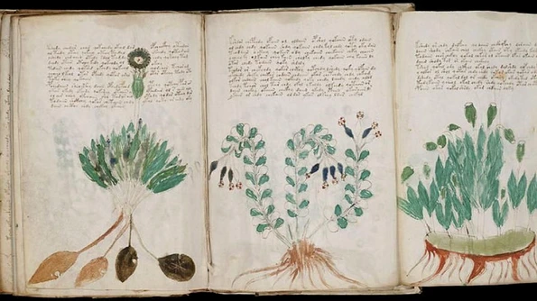 Noi pași spre descifrarea celui mai misterios manuscris din lume jpeg