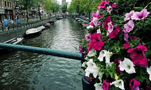 1 68045 original jpg jpeg