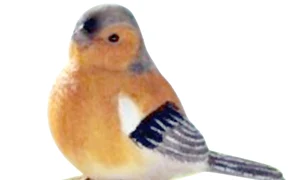 Pasăre cântătoare cu senzor de mişcare,  www decorix ro jpeg