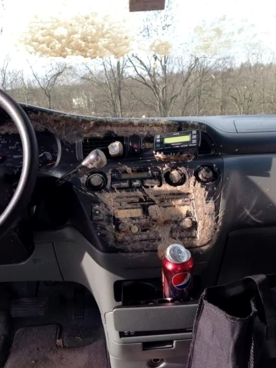 Dacă vă uitaţi doza de Cola în maşină, când afară este foarte frig, puteţi avea o surpriză neplăcută