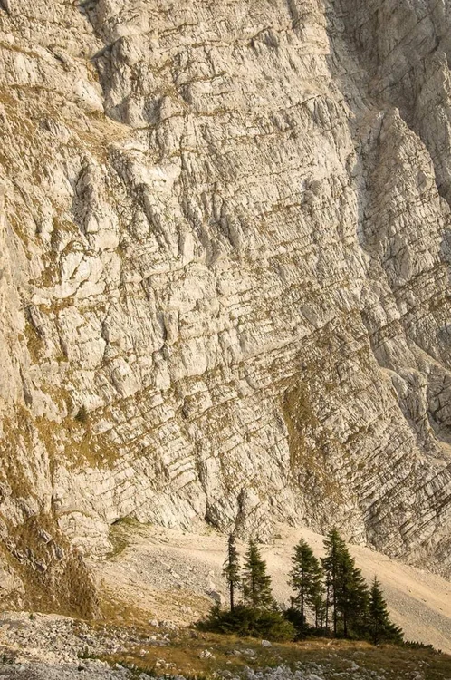 piatra craiului marele grohotis