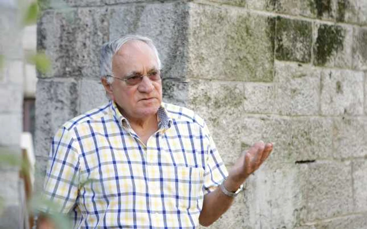 sorin alexandrescu