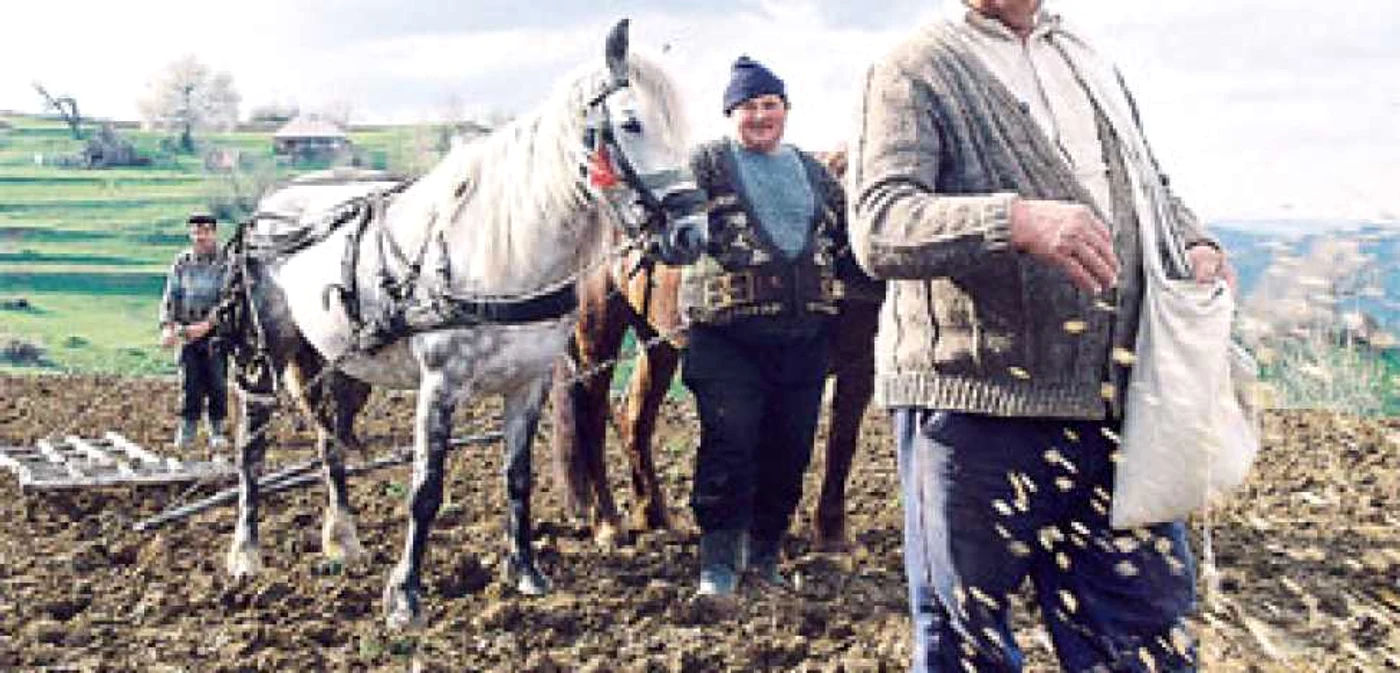 Doar 15% din suprafaţa agricolă din România era asigurată anul trecut