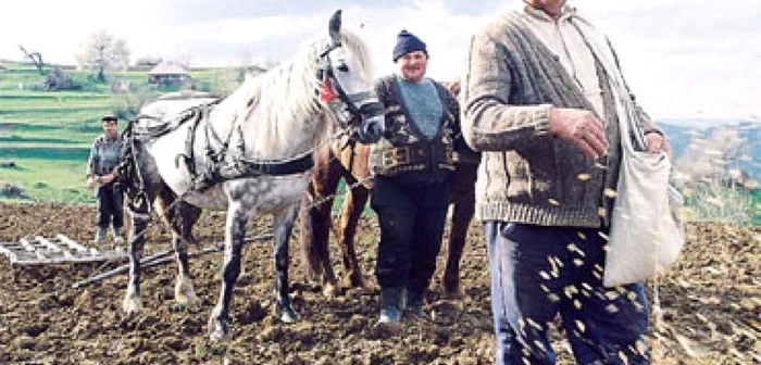 Doar 15% din suprafaţa agricolă din România era asigurată anul trecut