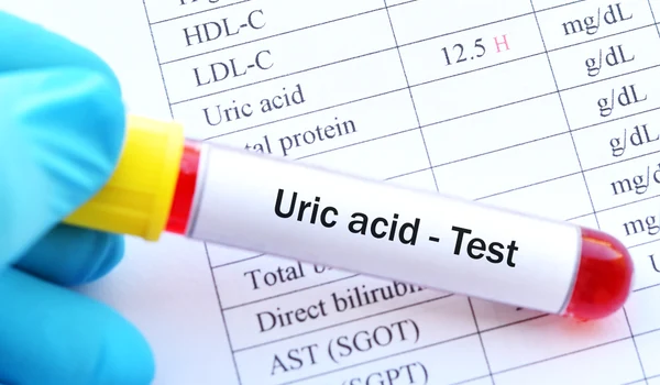 shutterstock 1150402865 jpg