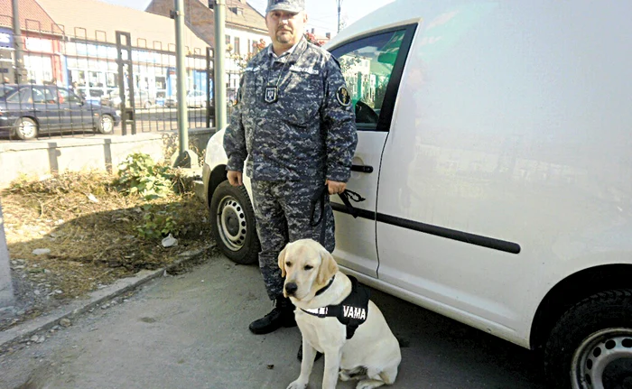 Labradorul Hugo, alături de colegul său de echipă, Jean Şuvagău