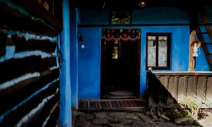 Casa albastra din Marin18 jpg