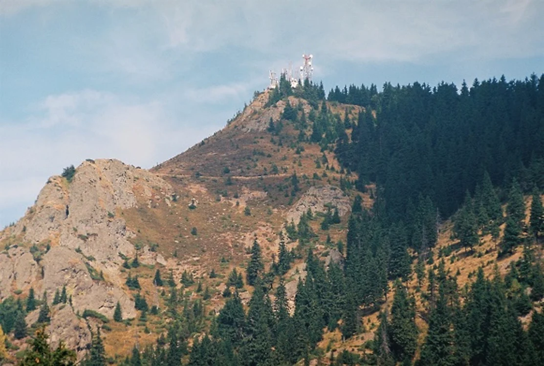 Pădurea Cozia