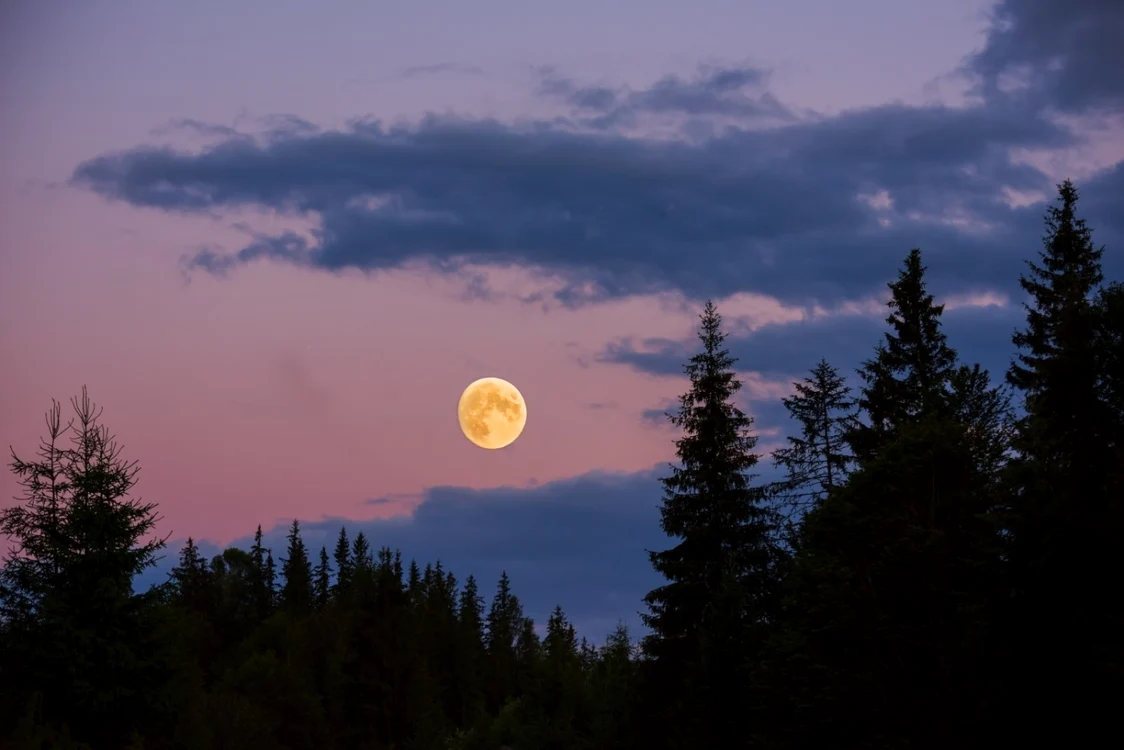 Luna va fi mai strălucitoare pe 28 martie. FOTO Shutterstock