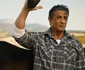 stallone jpeg