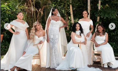 Venus Williams nuntă (1) png