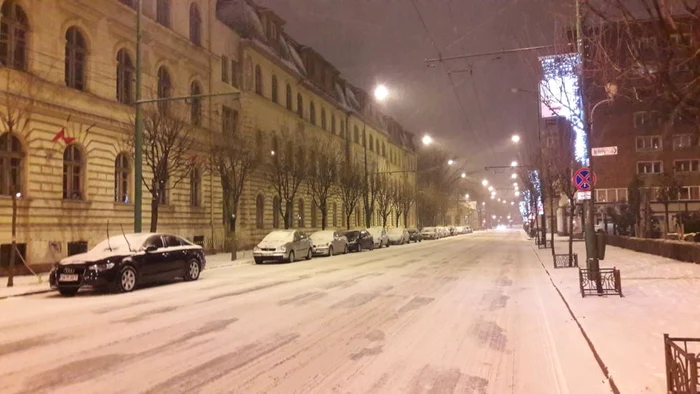 Prima ninsoare din 2019. Timişoara a îmbrăcat din nou haine albe FOTO Ş.Both