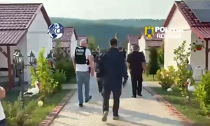 Captură de ecran 2026 06 30 101327 png