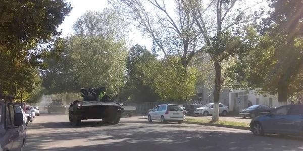 senilata armata