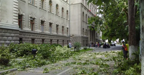 copaci prabusiti hunedoara