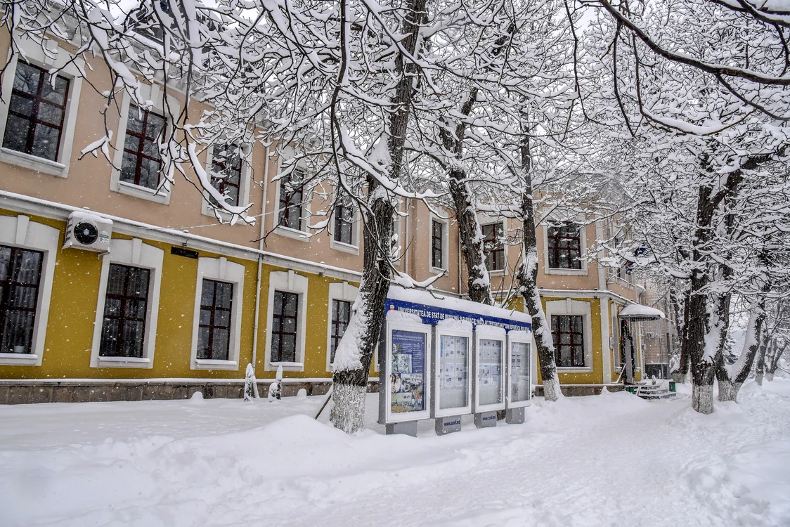 USMF de la Chișinău a încheiat rezultatele anchetei interne. FOTO: Usmf.md