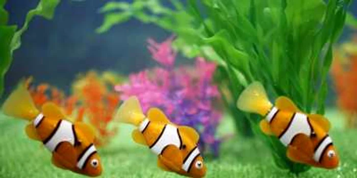 Peştişorii coloraţi Robo Fish le oferă celor mici prilejul să aibă un acvariu cu peşti şi îi scuteşte pe părinţi de corvoada întreţinerii unor animale reale, în opinia producătorilor FOTO japantoday.com