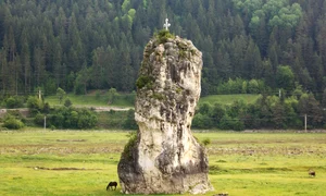 piatra teiului wikipedia jpg