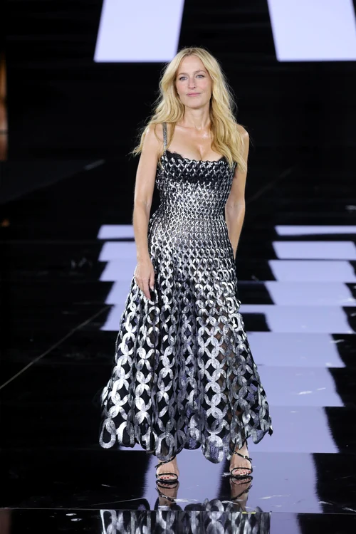 Gillian Anderson, profimedia 1041969556 jpg