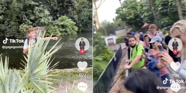 Influencer aligatori jpg