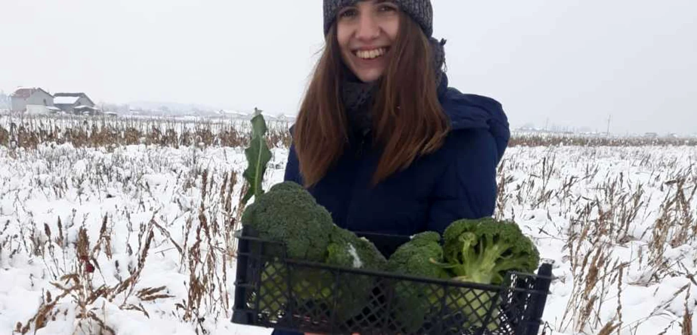 "Nu am vrut să stau iarna în casă şi am cultivat broccoli" FOTO Ana Popescu