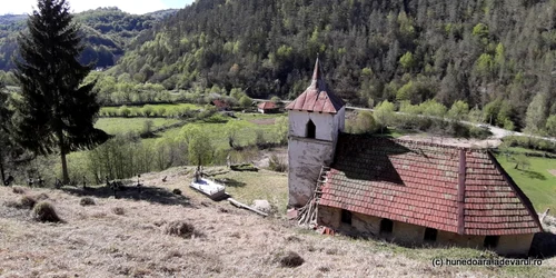 runcu mare hunedoara foto daniel guta