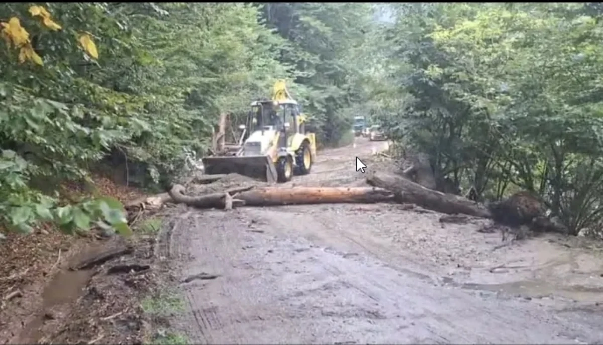 Peste 50 de turiști, evacuați din Munții Făgăraș după ce o viitură a blocat aproximativ 15 autoturisme în zona Valea Rea