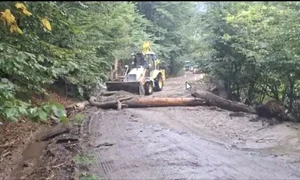 viitura muntii Fagaras 01 captura Salvamont Arges jpg