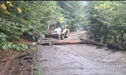 viitura muntii Fagaras 01 captura Salvamont Arges jpg