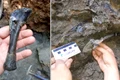 Fosile de dinozauri descoperite în Țara Hațegului  Foto Janos Magyar (5) jpg