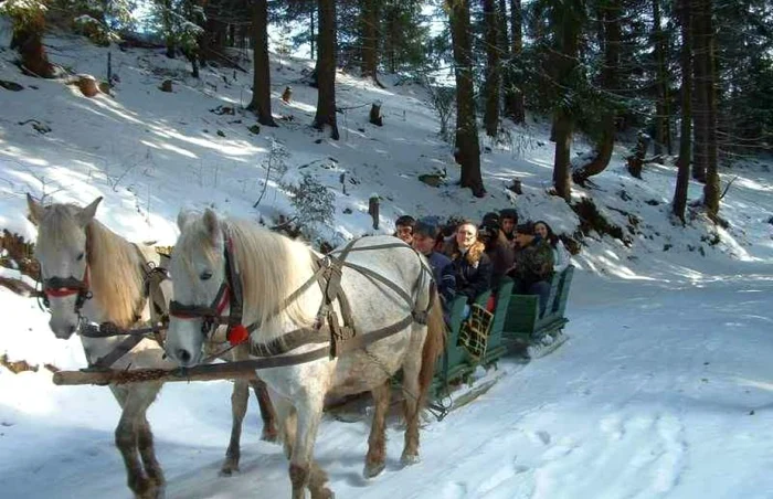 Turiştii se vor putea plimba pe dealurile care înconjoară staţiunea odată renumită pentru apele sale minerale Foto: Traian Ogâgău