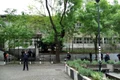 Scoala Belgrad Profimedia jpg