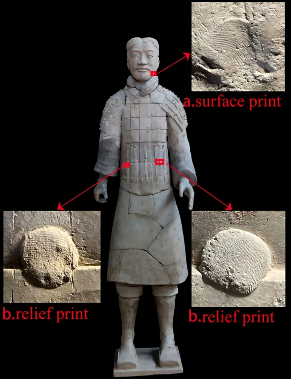 Diferitele tipuri de amprente digitale de pe figurina de teracotă nr. G11-10