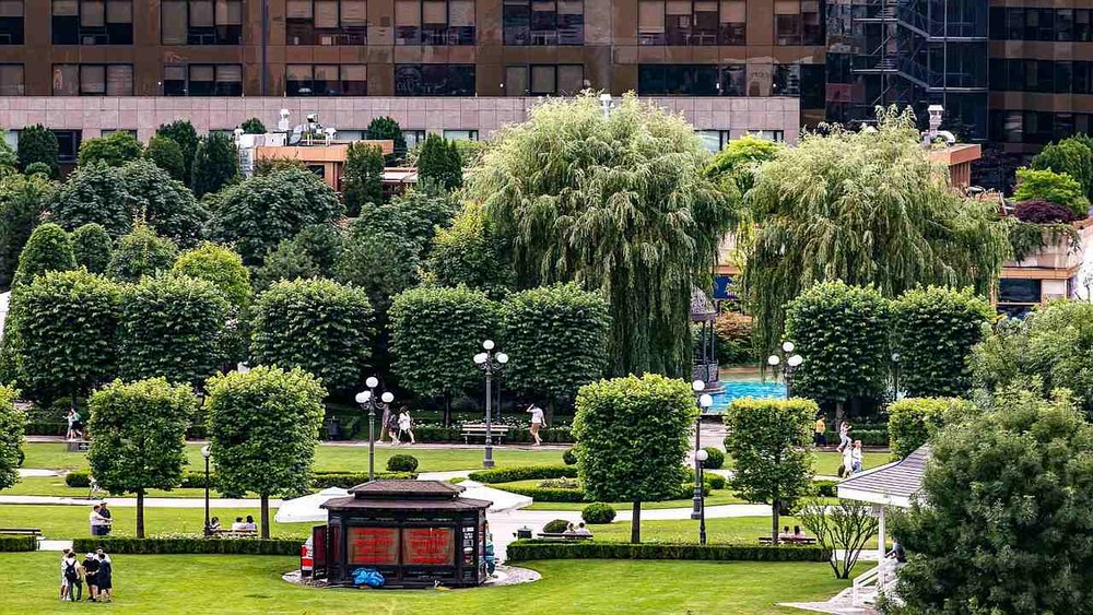 Care este procesul prin care IULIUS reușește să construiască cele mai frumoase grădini urbane?