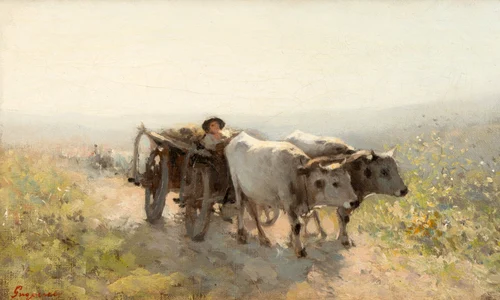 91c4a9c8 b6b9 4b35 a892 32667e1876fe jpg