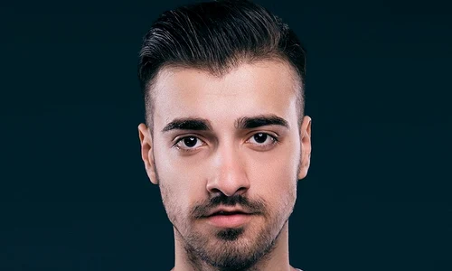 liviu teodorescu 1 jpeg