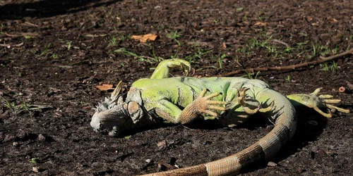 HAGIfe a8AAqIK6 jfif