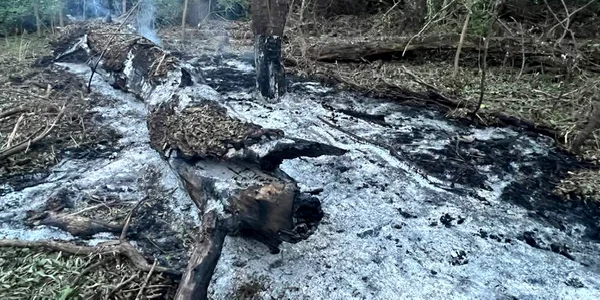 MApN confirmă că au fost găsite resturi de dronă pe teritoriul României FOTO Alex Costache / Facebook