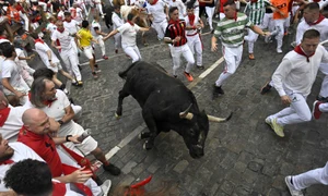 san fermin profimedia (2) jpg