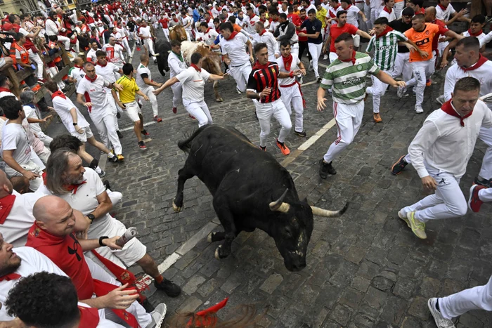 Alergători îmbrăcați în alb și roșu fug printre tauri pe străzi (Foto: Profimedia)