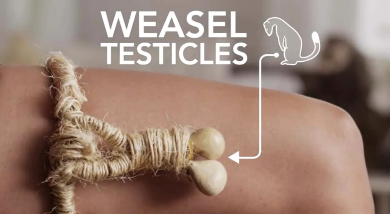 
    Femeile ţineau cu ele testicule de nevăstuică în timpul sexului, convinse fiind că astfel nu vor rămâne însărcinate  Foto: Captură Youtube  