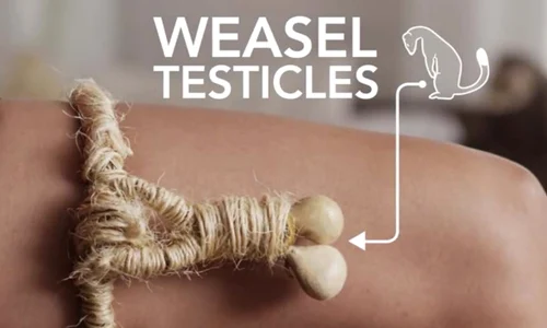 testicule de nevastuica jpeg