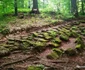 cetatea dacica piatra rosie foto daniel guta adevarul